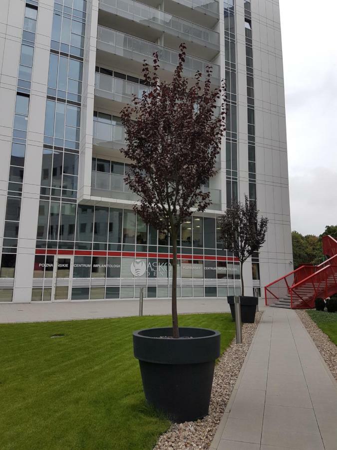 Apartament Towarowa 37 Poznan Dış mekan fotoğraf