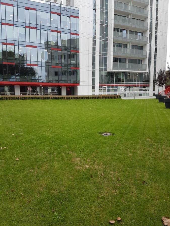 Apartament Towarowa 37 Poznan Dış mekan fotoğraf